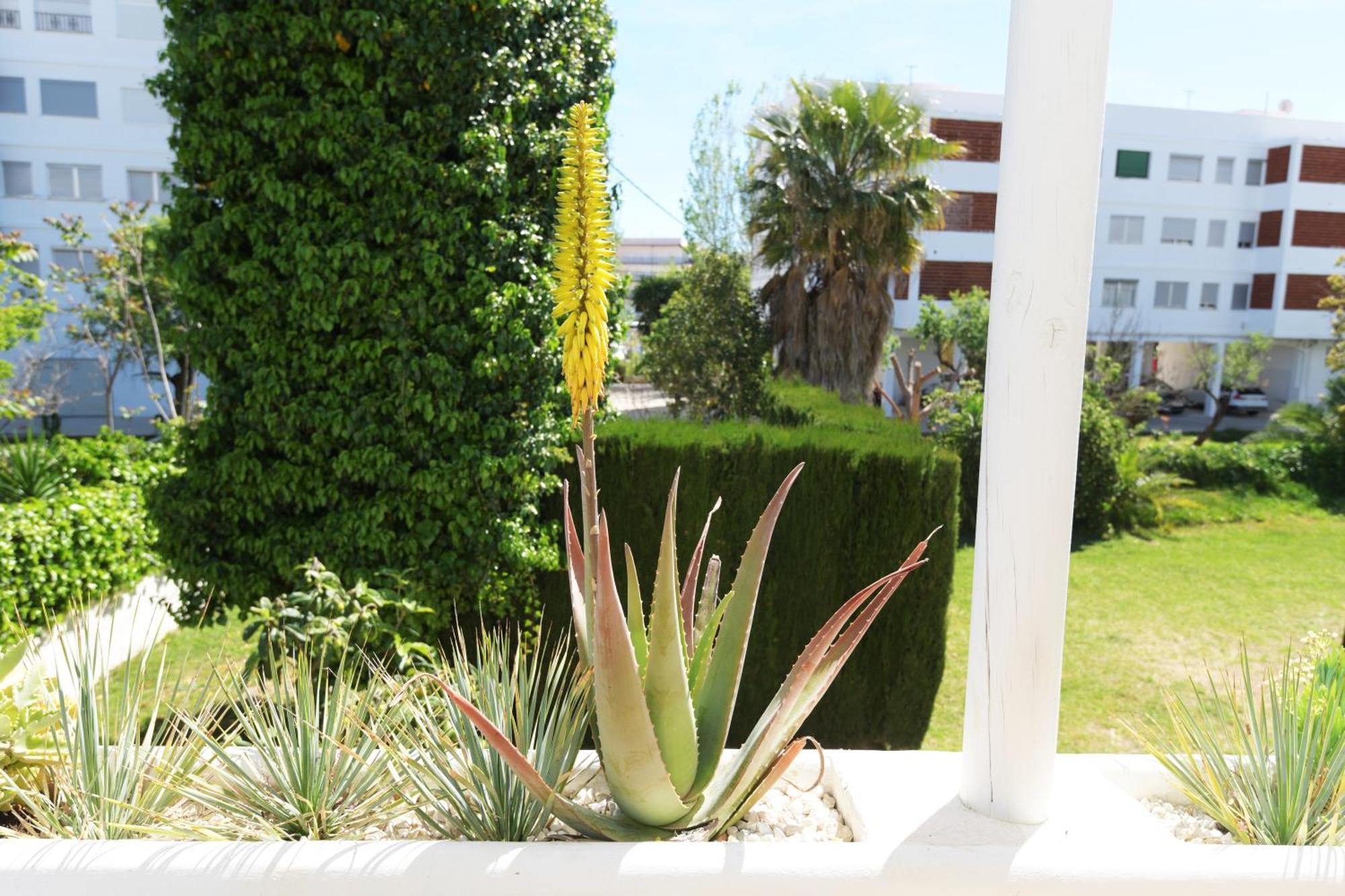 Stories Javea - Cosy Boho Apartment El Arenal - Toplocation - 250M From The Beach! Jávea Exterior foto